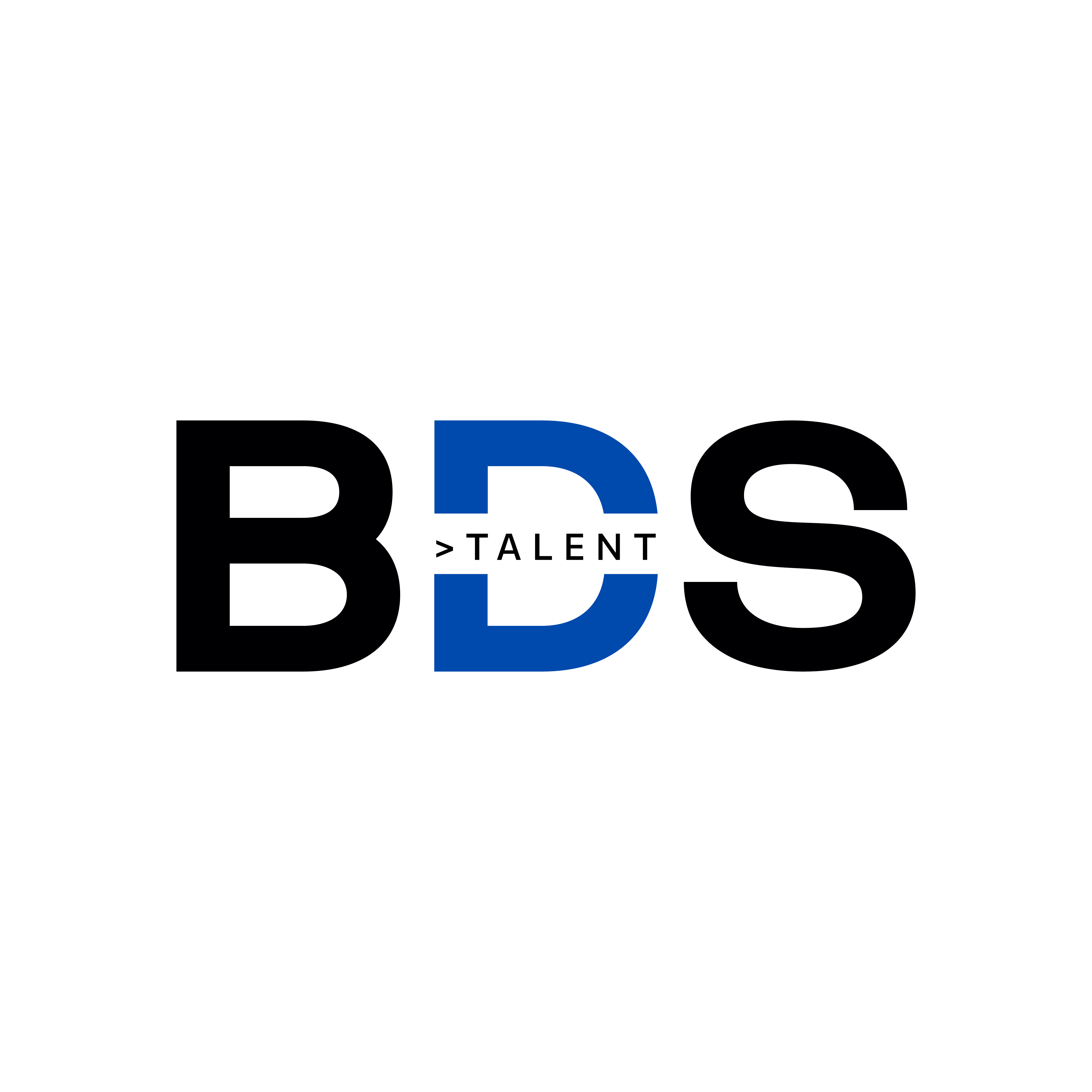 BDS Talent LLC logo